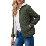 Automne Parkas basique vestes femme femmes hiver Plus velours agneau à capuche manteaux coton hiver veste femmes vêtements d'extérieur manteau