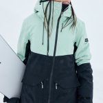GORE TEX® Stretch Purelines Veste de snow technique Vert Femme | Roxy